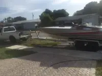 Pantera 24