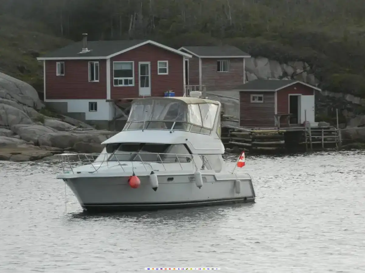 Carver 374 Voyager 