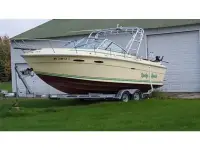 Sea Ray Amberjack 