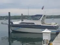 Cruisers 296 Avanti Vee 
