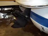 Cobalt 262 bowrider