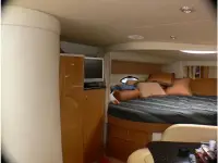 Wellcraft Scarab 302 Sport