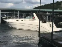 Rinker Fiesta Vee 342 