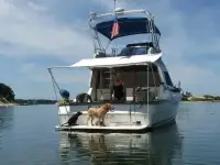 Bayliner 3460 Trophy Convertible
