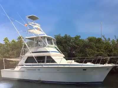 Bertram 42 Convertible 