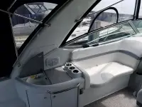Formula 31PC