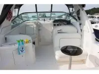Sea Ray Sundancer 290 Sundancer 