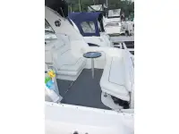 Sea Ray Sundancer 290 Sundancer 