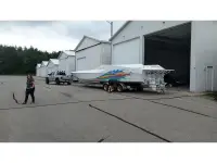 Cougar 