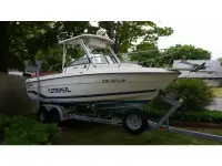 Seaswirl Striper 