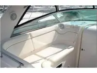 Rinker Fiesta Vee 290