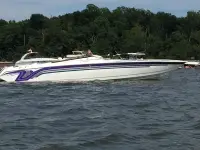 Velocity 41 