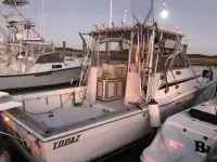 Topaz 29 