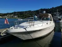 Sea Ray Sundancer 340 Sundancer 