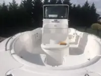 Sea Fox 199 Commanner 