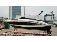 Sea Ray SPX 19 