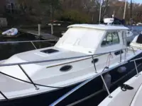 Back Cove 29 