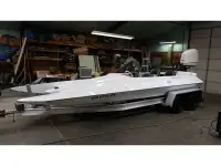 Eliminator Scorpion 