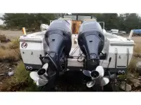 Bayliner Trophy 