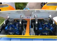 Spectre 30 Cat