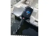 Boston Whaler 21 Ventura 