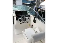 Boston Whaler 21 Ventura 