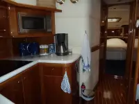 Sealine T 46
