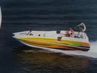 Advantage 27 lx Party Cat 