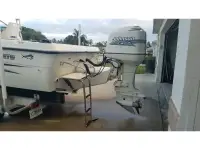 Sea Horse 24