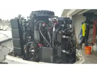 Sea Horse 24