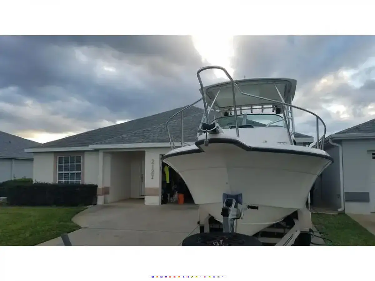 Sea Horse 24 