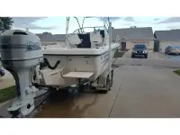 Sea Horse 24
