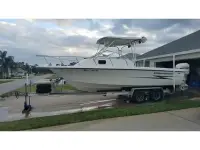 Sea Horse 24