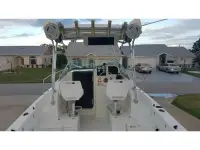 Sea Horse 24