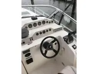Rinker Fiesta Vee 300 