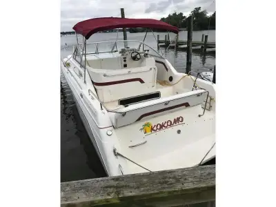 Rinker Fiesta Vee 300 