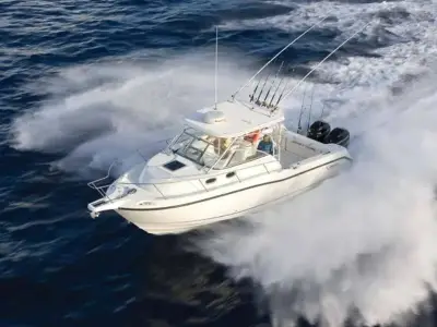 Boston Whaler 305 Conquest 