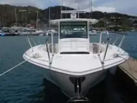 Boston Whaler Outrage 370 