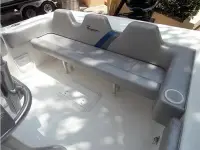 Renegade 25 Open 