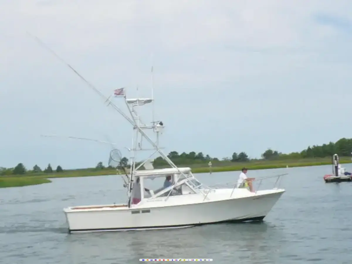 Blackwatch Open Fisherman 