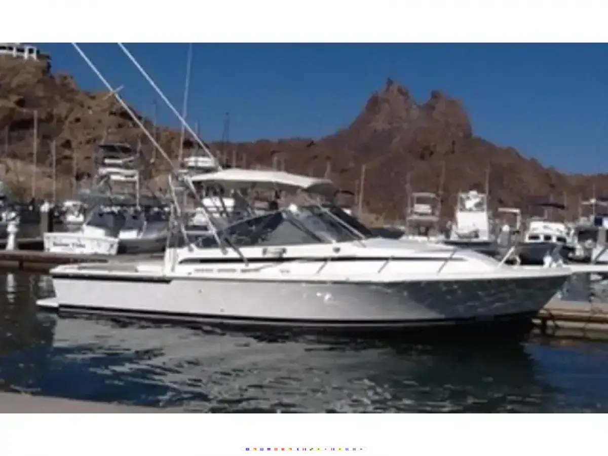 Blackfin Express 