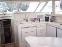 Sea Ray 550 Sedan Bridge 