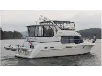 Carver 406