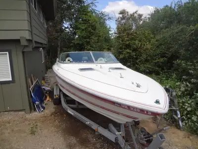 Sea Ray Pachanga