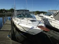 Sea Ray Amberjack 270 Amberjack 