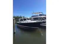 Back Cove 