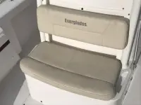 Everglades 243cc 