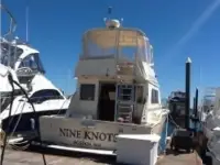 Hi-star 44 