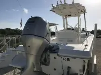 Everglades 243cc