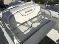 Everglades 243cc